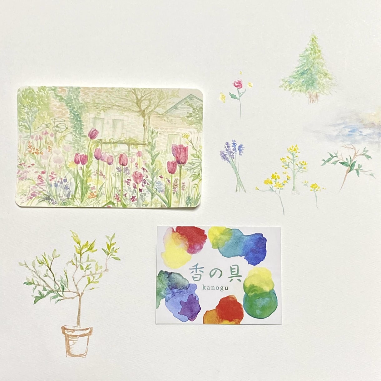 ほっこりしたポストカード描きます 【味のある植物の絵描きます】より手頃なサービスが欲しい方へ イメージ3