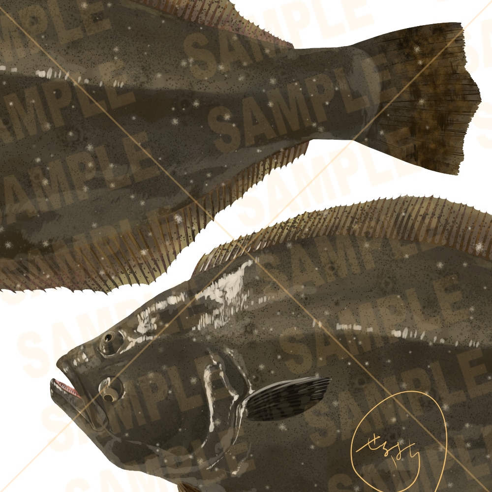 あなたの好きなこだわりの魚イラストお描きします 田舎で釣りばかりしていたから描ける魚イラストお描きします。 イメージ6