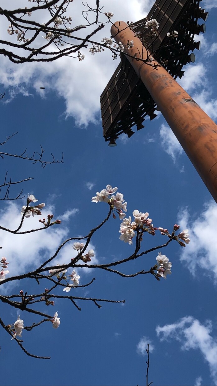 相談支援業務員がなんでもお悩みを聞きます 愚痴を聞いてほしいや、誰にも言えない話などなんでもききます イメージ1
