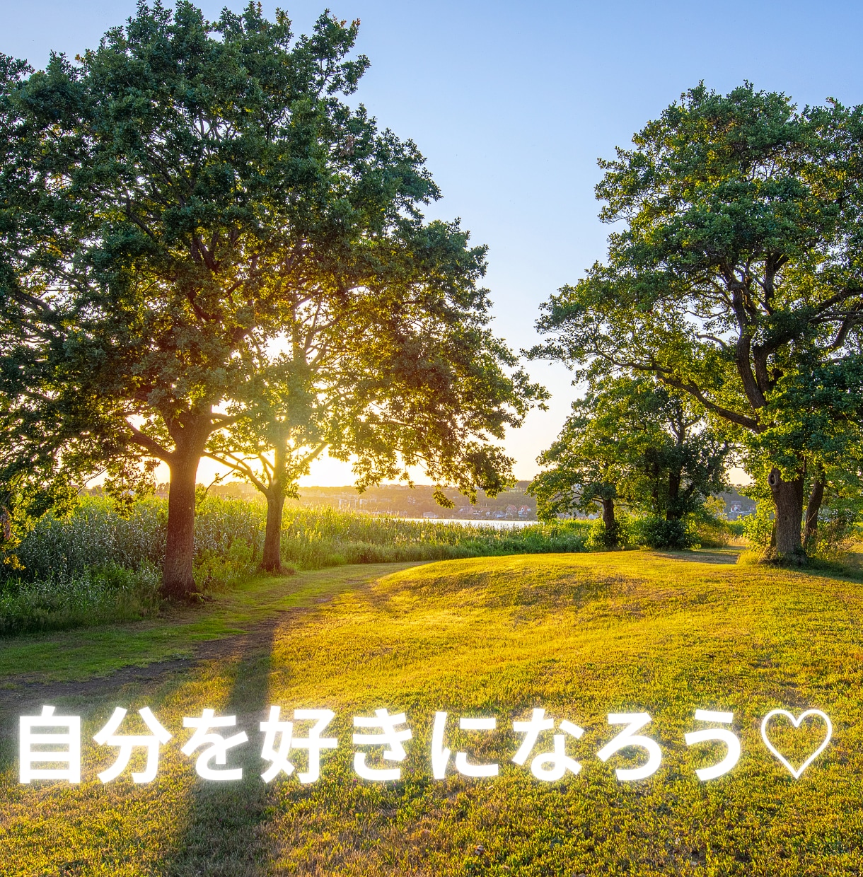 復縁♡片思い♡タロットリーディングします 統計学とタロットカードの合わせ技でみていきます☆ イメージ4