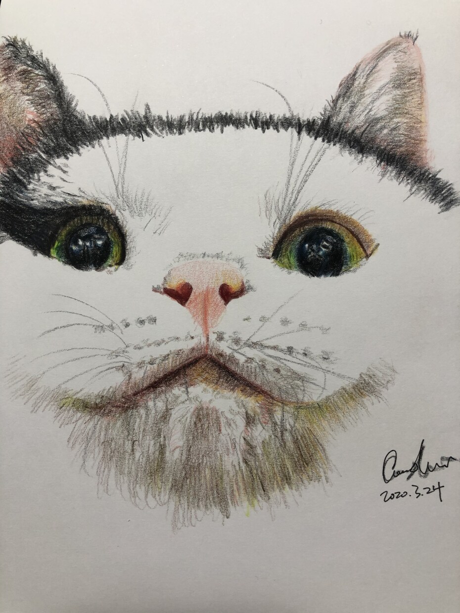 動物の似顔絵とイラストを描きます 色鉛筆とアーティストペン、どちらでも描けます！ イメージ2