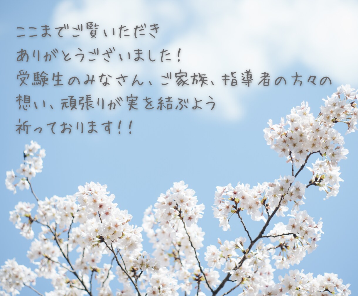 大阪大過去問[理系数学]解説24時間以内に送ります 指導歴15年以上の講師が手書きで作った解答解説PDF！ イメージ10