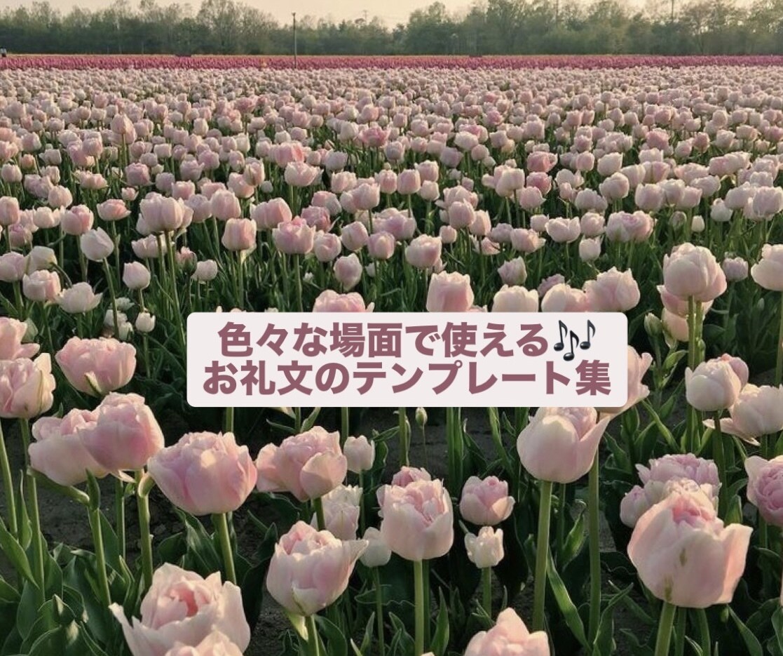 色々な場面で使えるお礼文送ります お礼文に毎回悩む方！ぜひご利用ください！ イメージ1