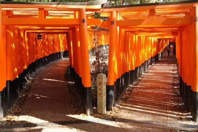 京都生まれ京都育ちの京都人が観光のお手伝いをします 生粋の京都人が京都観光を何倍も楽しめる情報を提供いたします イメージ5
