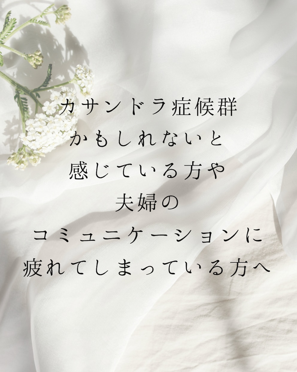 女性限定⭐︎旦那さん、パートナーの不満お聴きします 多数の男性の意見を聴いてきた経験から、今お悩みのあなたへ。 イメージ2