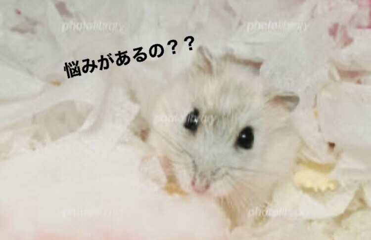友達感覚☆どんな話でも聞いちゃいます もやもやしてる人！とにかく暇な人も！話すだけで楽になれます♪ イメージ2
