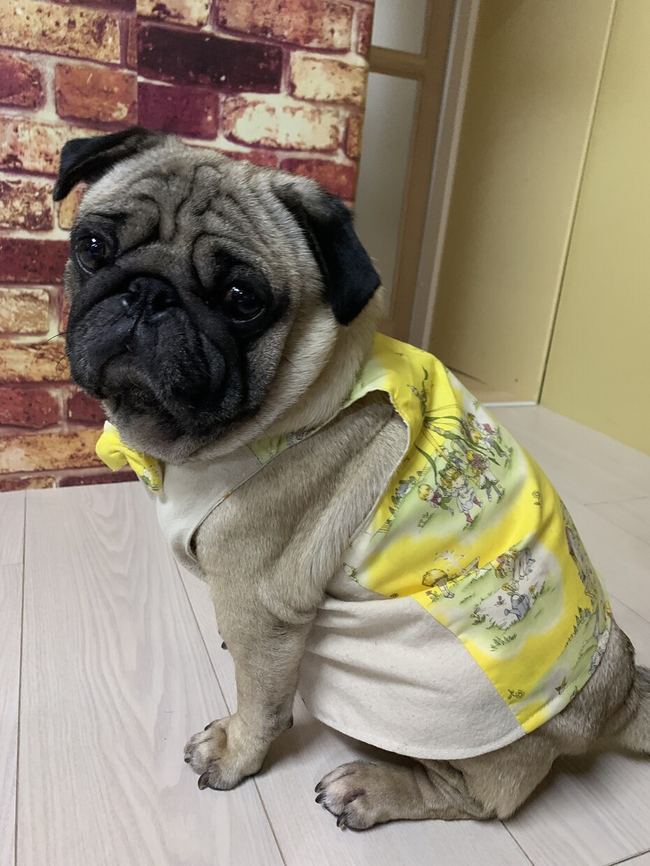 洋服、犬の服、子供服オーダー受け付けます オリジナル商品多数あります。オーダー受付致します。 イメージ3