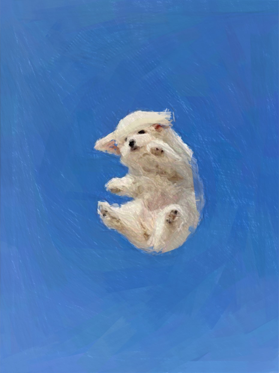 愛犬や愛猫、ペットの写真を　油絵　でデザインします 世界に一つだけの愛するペットをデザインさせてください！ イメージ1