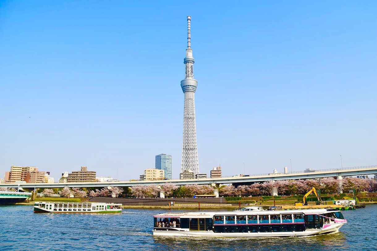 撮影代行！素敵な写真を提供致します 都内の各種イベント、展示会、花火大会などの撮影を代行致します イメージ6