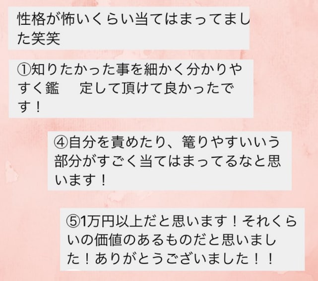 ラクラク簡単読める！紫微斗数PDF販売します 初心者さん向け紫微斗数テキストです イメージ9