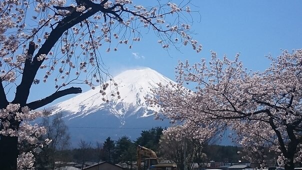 お話し相手になり、その「思い」をお伺いいたします 日本人独りきりの自立体験/お客様相談室長経験でお役に立ちたい イメージ2