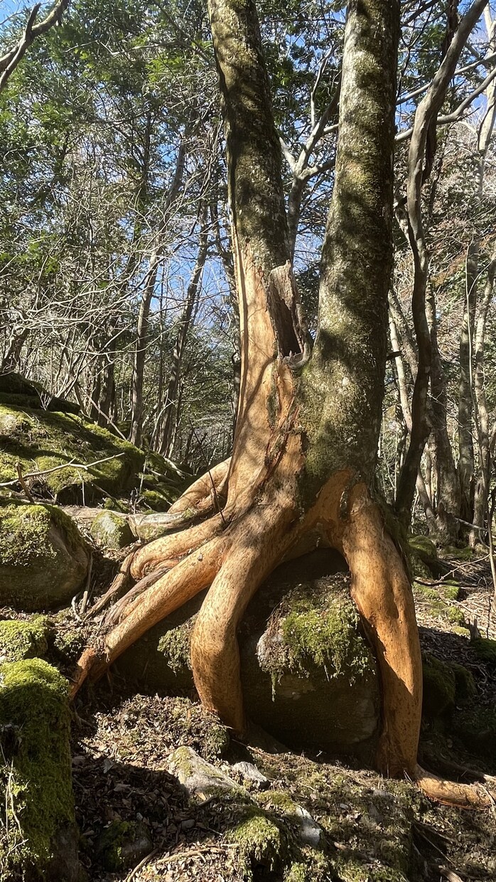 自然風景の写真素材提供になります なかなか行けない素敵な自然風景を撮影し写真素材提供致します イメージ5