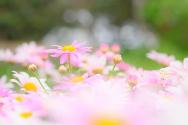 傾聴☆ほっと出来る場所を作ります 癒し・心の充電・明日への力・HSP・繊細・自己肯定感 イメージ1