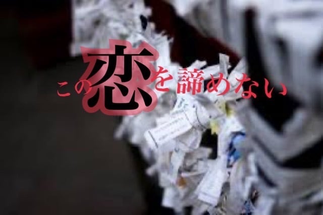 付与霊✖️縁結びで貴方の運命を導き引き寄せます 心に響く縁を紡ぎ付与霊にて成就へお導きします。 イメージ1