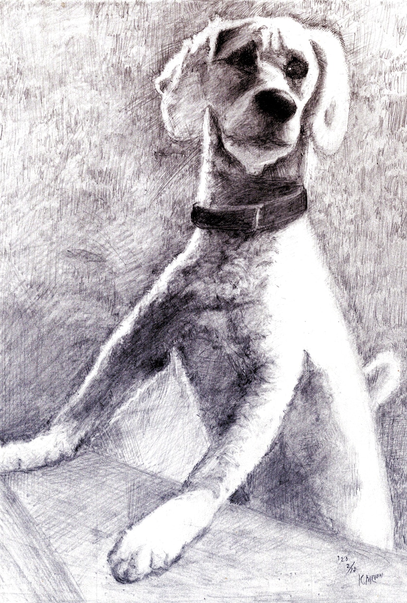 温かみのある鉛筆画でペットさんの絵をお届けします いろいろな動物描けます！記念やプレゼント用に イメージ2
