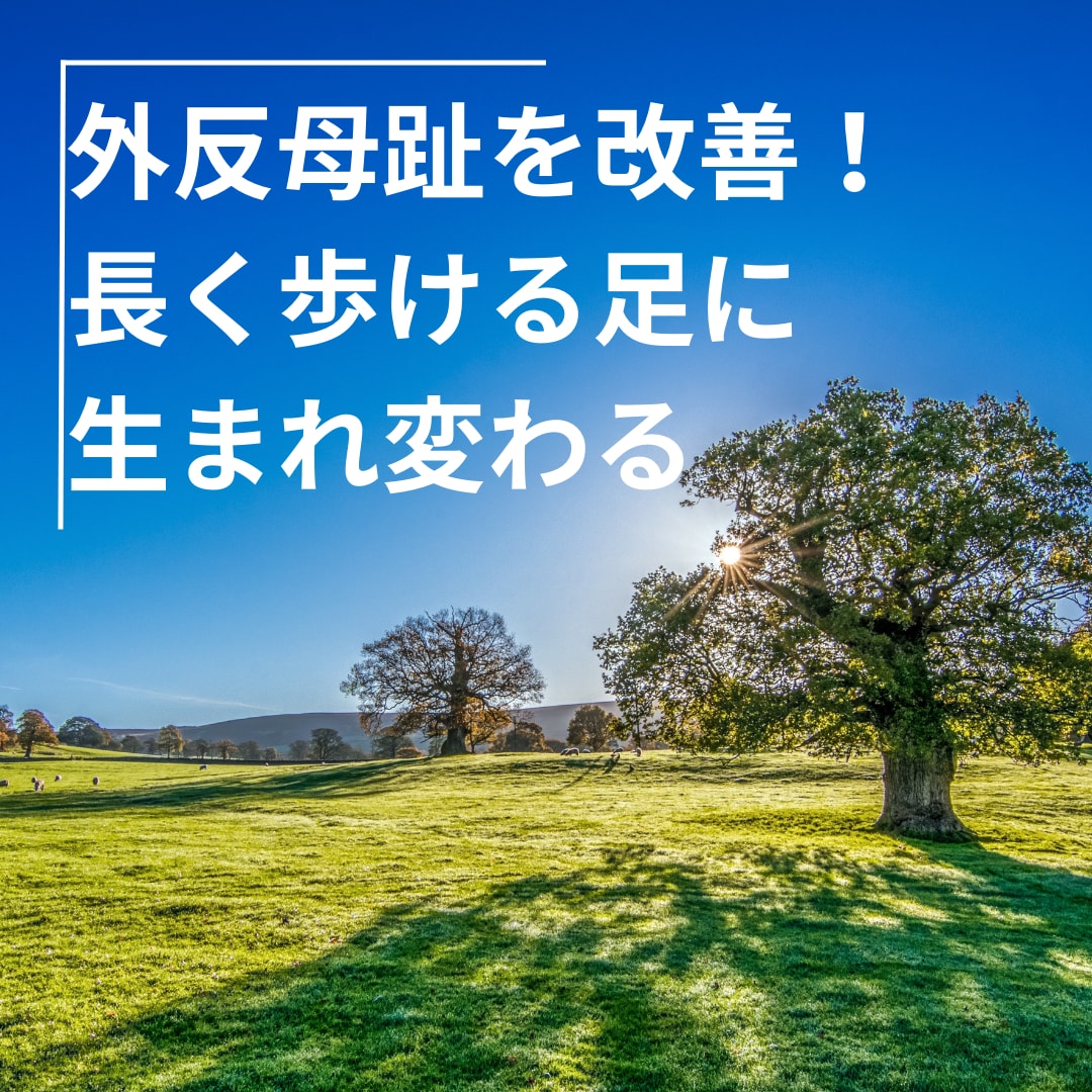 外反母趾を改善するためのエクササイズを教えます 痛みを改善して長く歩ける足に生まれ変わる！ イメージ1