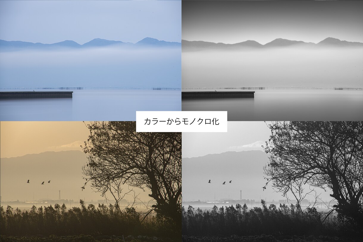 写真をモノクロ写真に仕上げます 【モノクロ写真専門】の経験を活かし仕上げます イメージ3