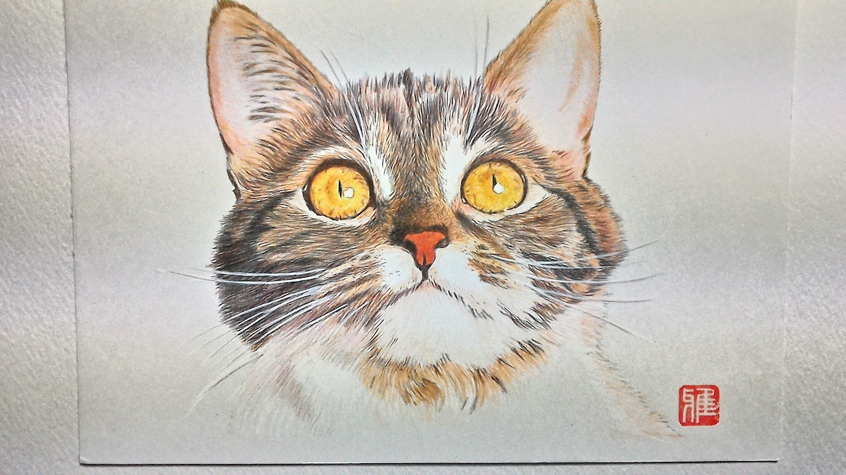 写真を素にペットの似顔絵を描きます 犬、猫、小鳥など、何でも描きます。 イメージ2