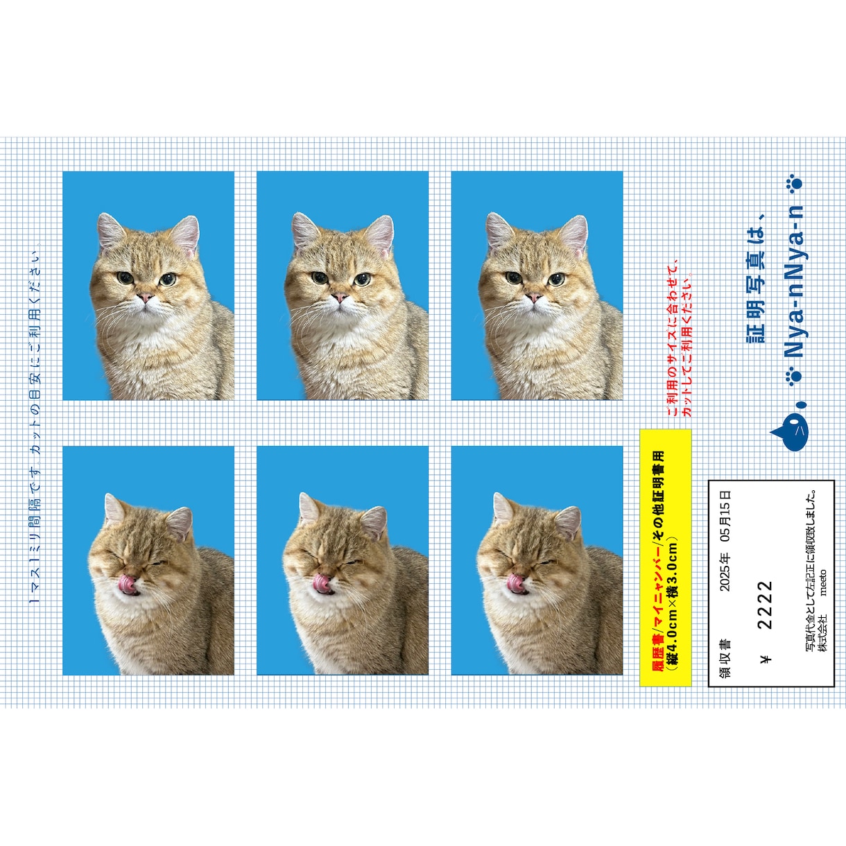 証明写真！うちの子が主役のオリジナル写真を作ります 愛猫・愛犬のかわいさを閉じ込めた証明写真風をお作りします！ イメージ1