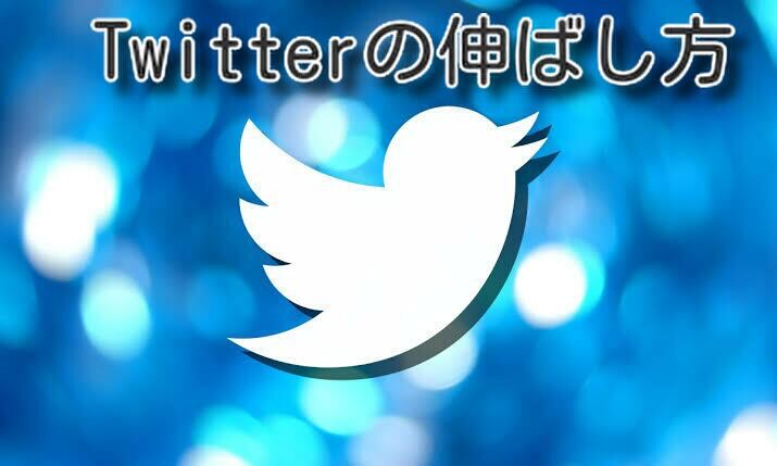 Twitterの伸ばし方教えます 長時間Twitterに割けなくてもなるべく効率良く運用を イメージ1