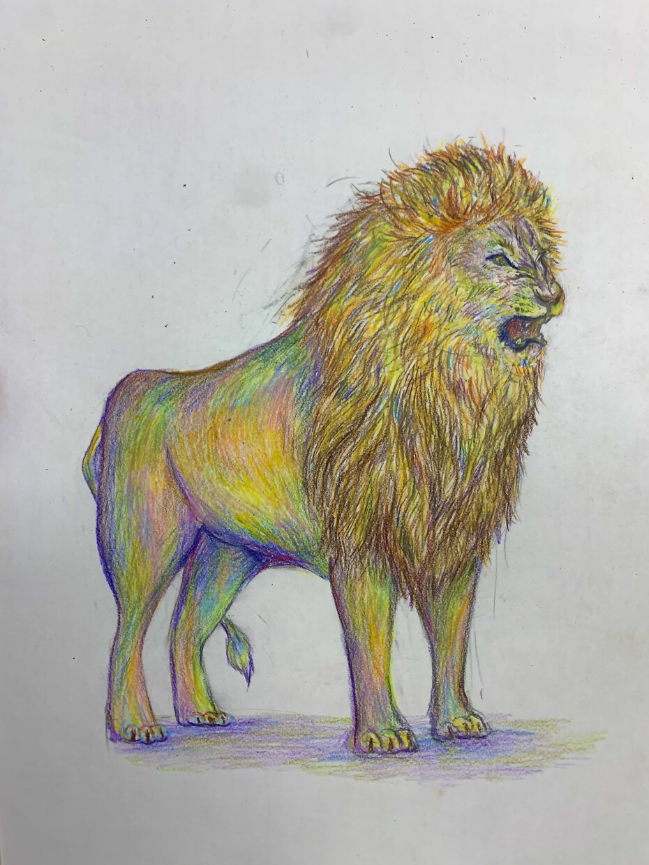 カラフルな動物イラストを制作します 色鉛筆で描く、カラフルで柔らかい雰囲気の動物イラストです。 イメージ4