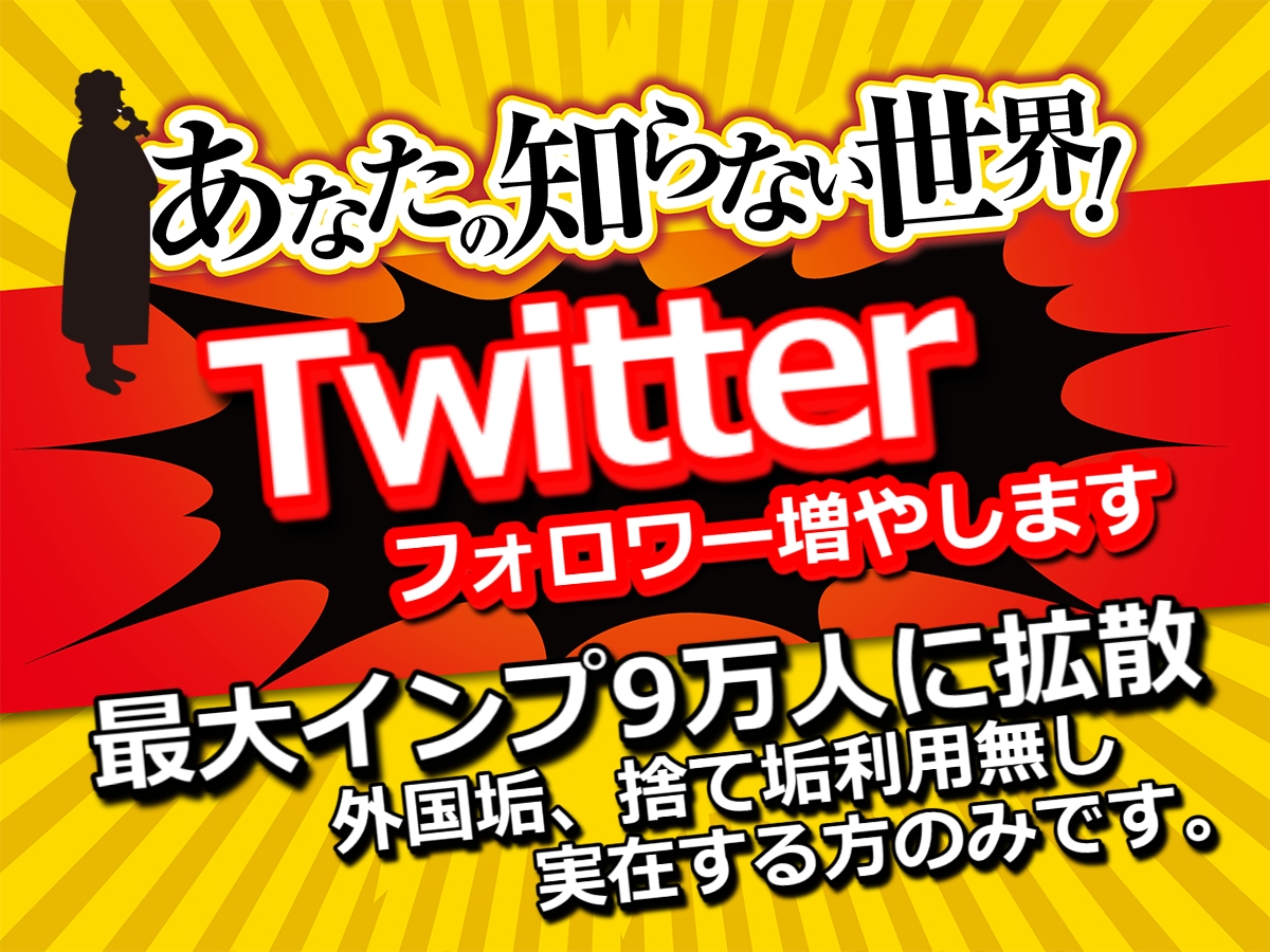 Twitterフォロワーを250人以上増やします 【6月限定価格】外国・捨て垢無し！最大インプ9万弱！自然4 イメージ1