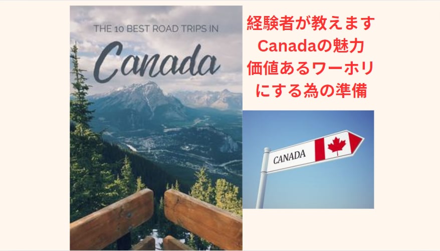 純ジャパ→外資系キャリアの私がワーホリ相談乗ります 〜帰国後のキャリアアップを見据えた、唯一無二のワーホリ相談〜 イメージ2