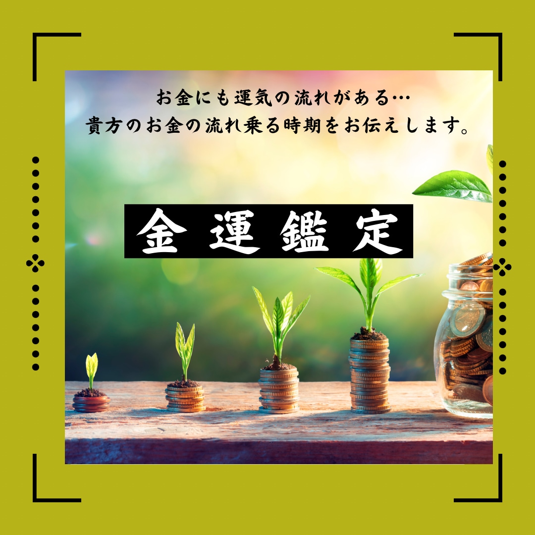 貴方の財運ストーリー：成功の鍵を握る金運を教えます 【新商品】財運を引き寄せ、豊かな未来へ イメージ1