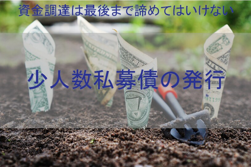 少人数私募債の発行プロセスについてます 少人数私募債の発行プロセスの全容を詳細までお伝え イメージ1