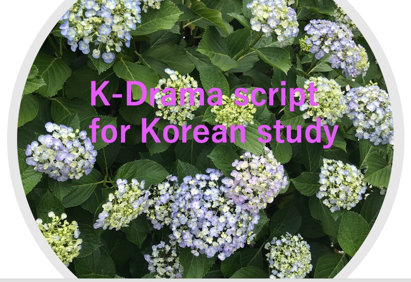 韓国ドラマの台本を提供いたします 韓国ドラマを本当の韓国語勉強の教材として使いましょう。 イメージ1