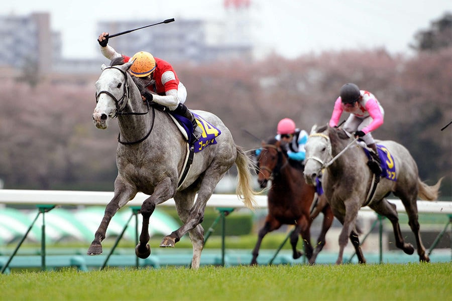 独自の競馬予想法で買い目提供します 複勝、馬連、馬単、3連複、3連単から大予想！ イメージ1