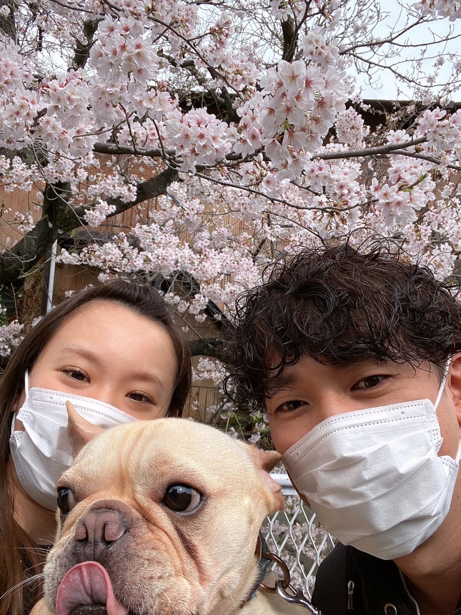 格安でしっかり看護実習のサポートします お金より学生さんのために！！　実習の心強い味方になります！！ イメージ1