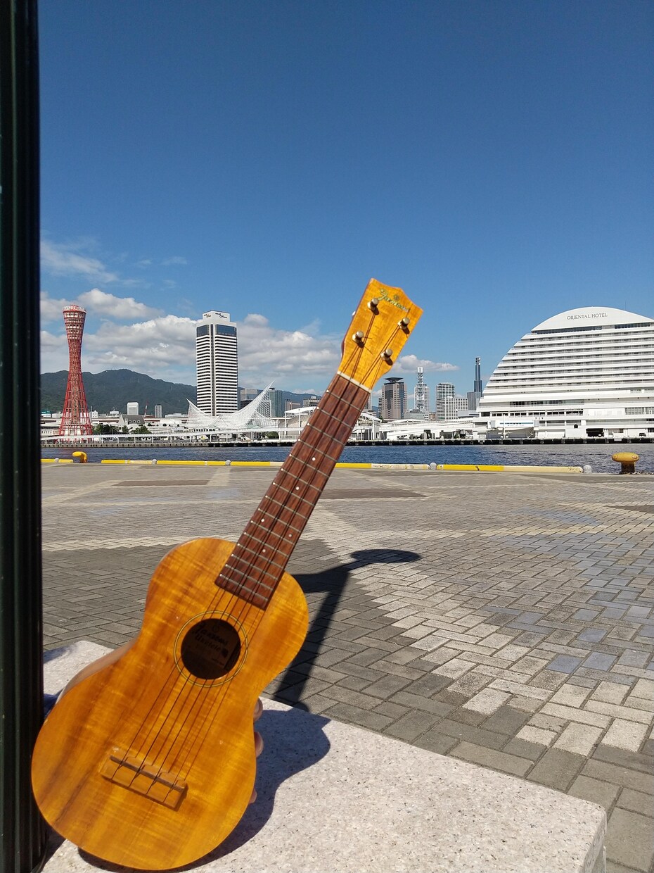 ４回でウクレレ弾き語りご希望の曲をレッスンします ４回のレッスンで人前で自信をもって弾き語れる練習をします。 イメージ5