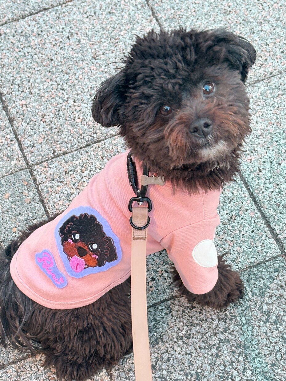 うちの子の「オリジナルワッペン」作成します 愛犬のオリジナルワッペンを作成！ イメージ9