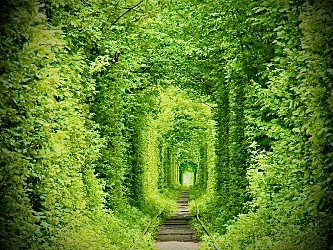 開運の手助けをいたします 光に包まれた人生を歩みましょう。 イメージ1