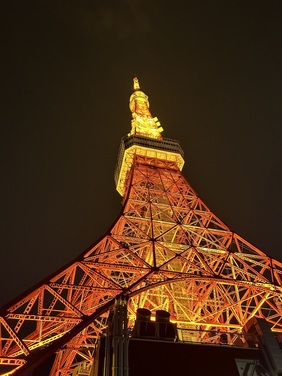 国内旅行（家族・カップル・友達）の企画をします 時間が無い、どこの方面が良いか分からない、お悩み解決します！ イメージ4