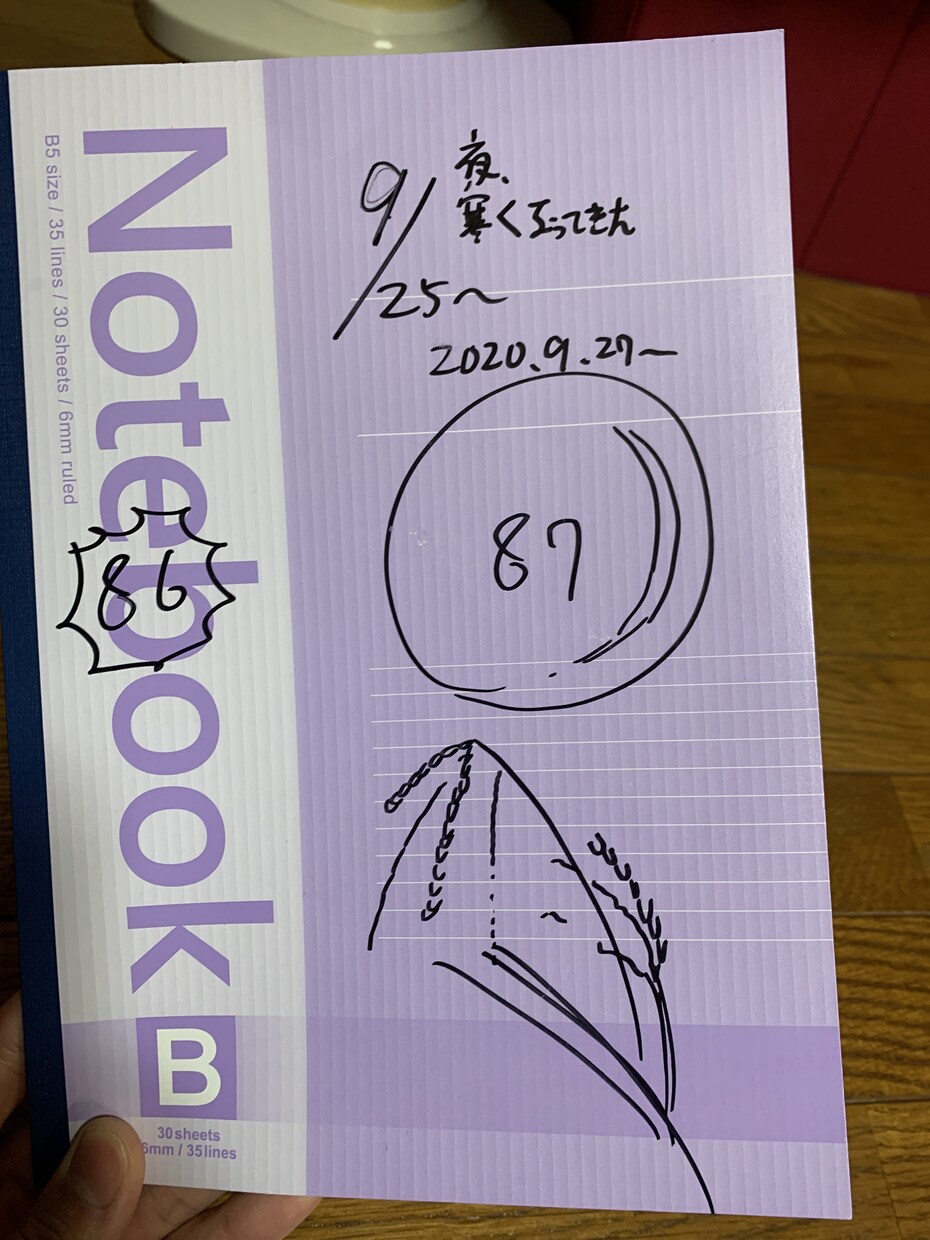 日記革命！日記歴8年の経験生かしてお手伝いします 話が進む！解決する！悩みがかなり減る！メリット絶大！ イメージ4