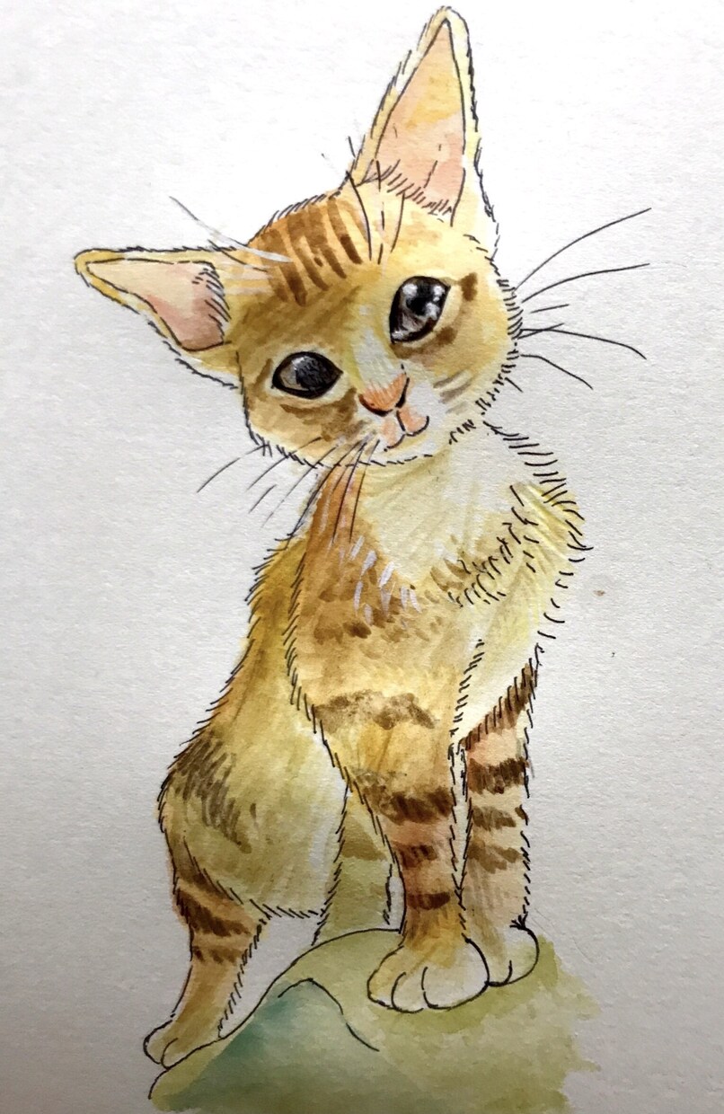 動植物や虫を描きます ボールペンならではの味わいをお楽しみください イメージ10