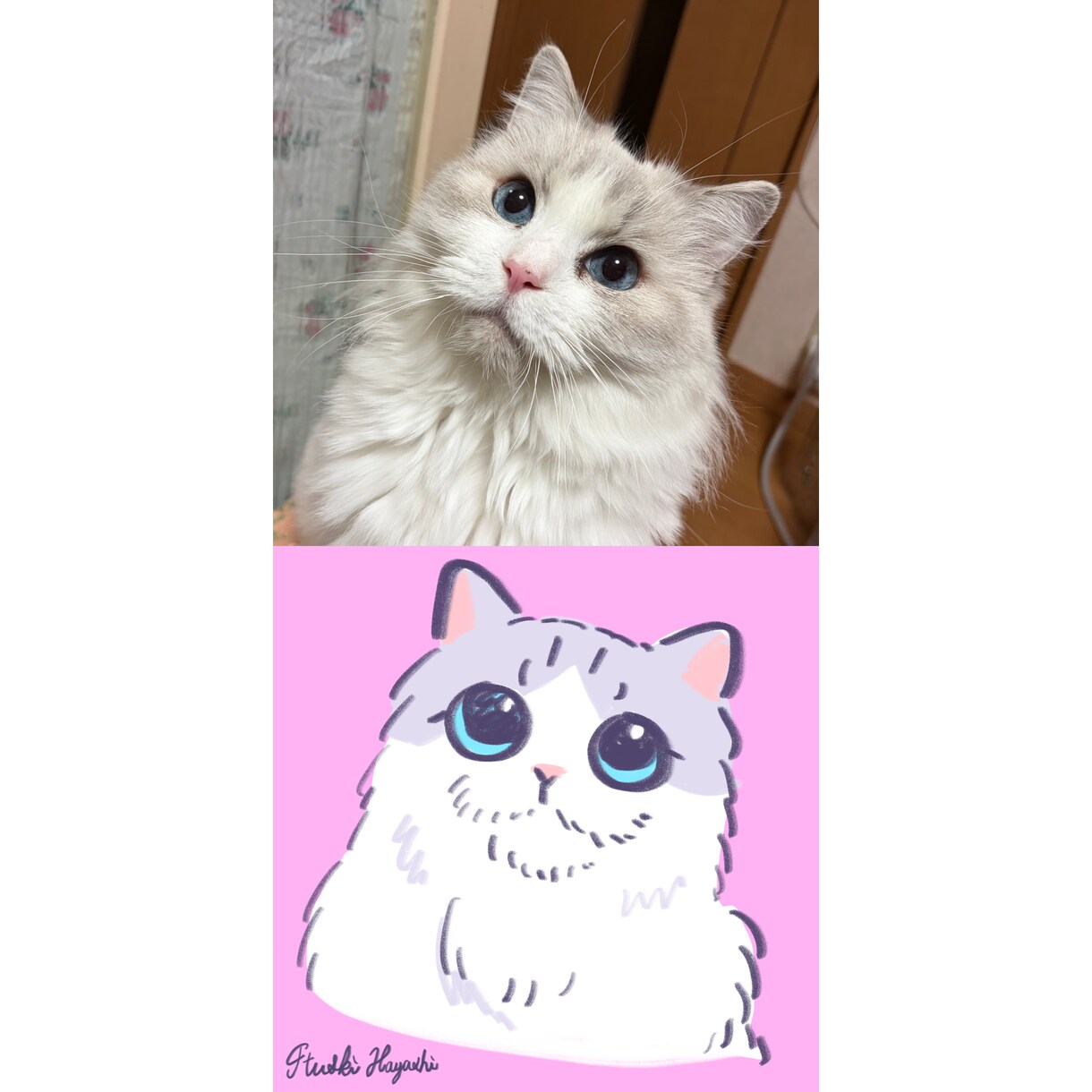 猫ちゃんのイラスト描きます SNSのアイコンやうちの子のイラストが欲しい方向け イメージ3
