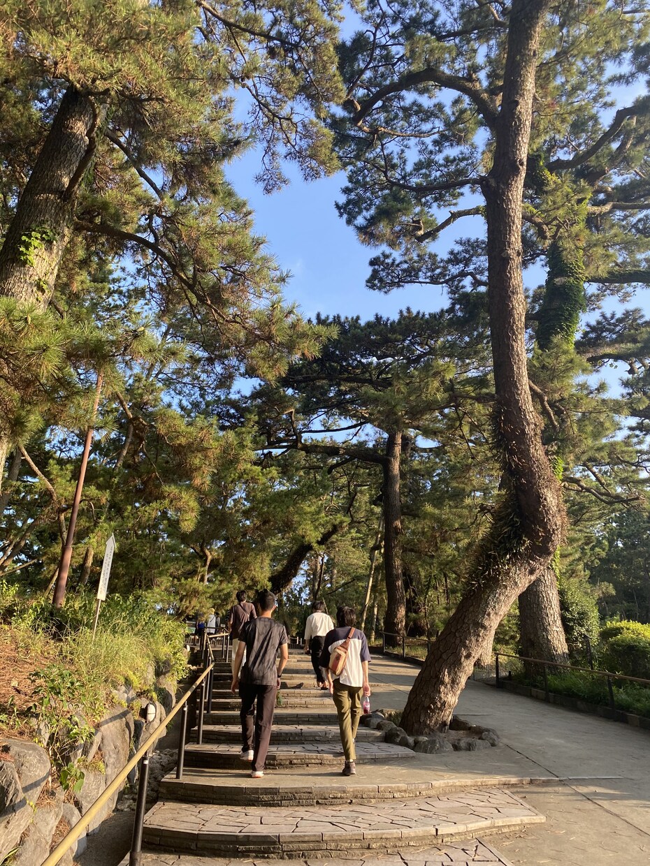 理想の国内の旅行計画を立てます 地理検定上級の知識を活かし、最高の旅行計画をお作りします！ イメージ9