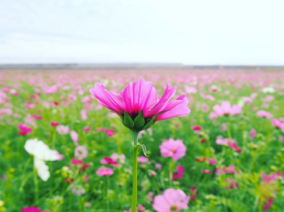 少し息抜きしませんか？あなたの心を軽くします もやもやが消えない、元気が出ないあなたへ イメージ1