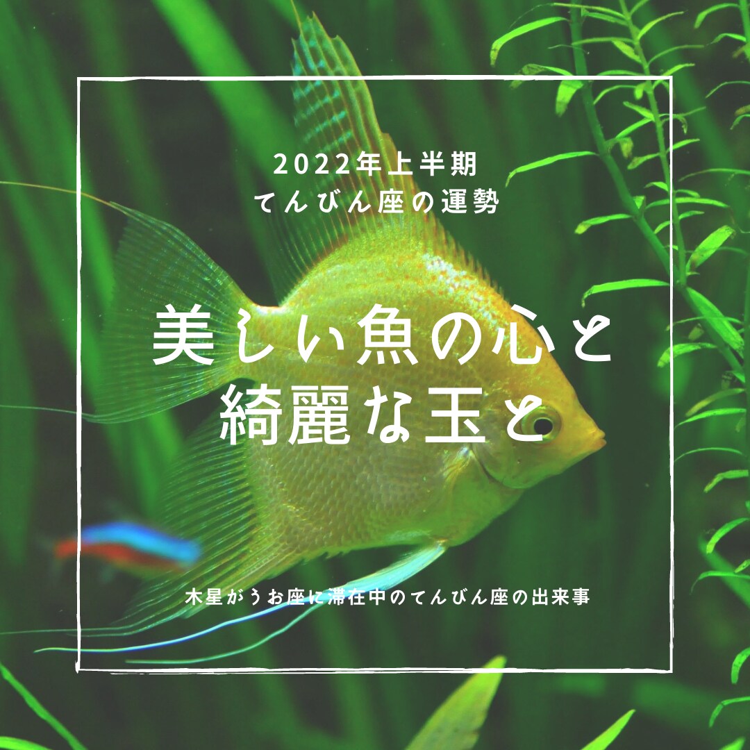 西洋占星術による2022年上半期の運勢をお渡します 時間のないあなたに、ブログやSNSなどに使用可能な運勢鑑定 イメージ8