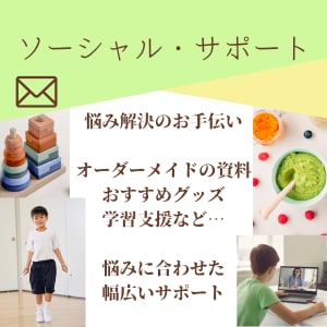ソーシャル・サポート！専門的アドバイスいたします /発達段階や学習方法、学校トラブルの対応など一緒に考えます♪ イメージ1