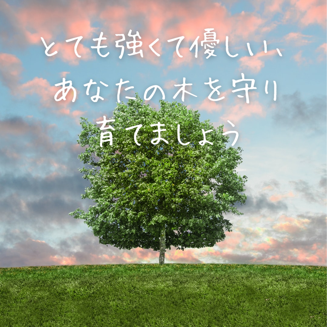 自分らしい最高の人生を生きるサポートをします 心の底からやりたい事、内も外も最大限に魅力的なあなたで叶える イメージ1