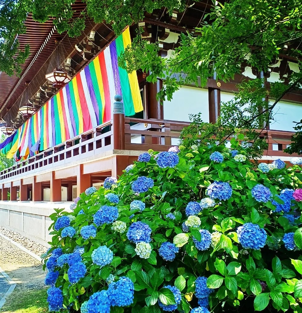 京都の四季の写真を提供します 京都の癒される四季折々の写真を！ イメージ2