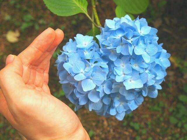 大人の発達障害？なぜかうまくいかないを改善します ASD/ADHDなどの仕事・恋愛・家族との困りごとをサポート イメージ4