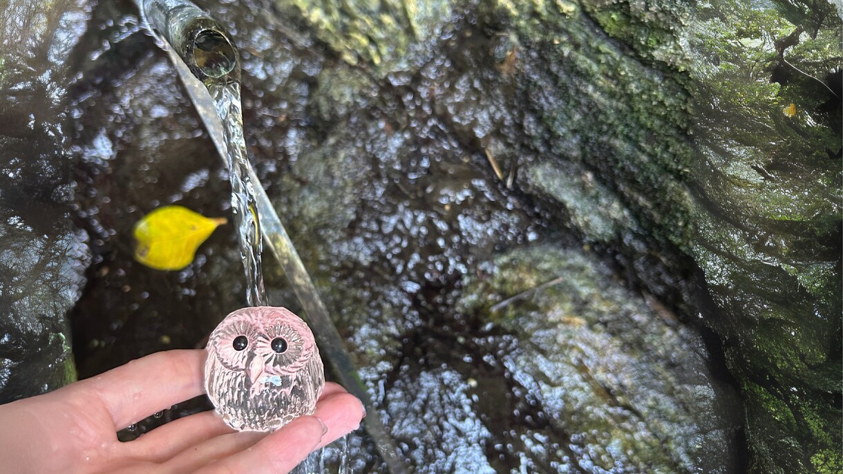 あなたの悩みスピリットからのメッセージで伝えます 南国ユタの家系に生まれ引き継いだその能力を使って鑑定します イメージ6