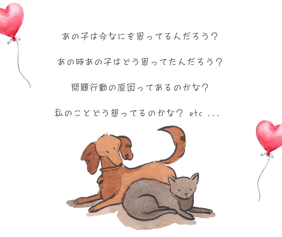 大切なペットちゃんの気持ち✉️♥️☘️ゆる占います 小さな家族￤気持ち￤猫￤犬￤ペット￤占い￤メッセージ￤ヒント イメージ3
