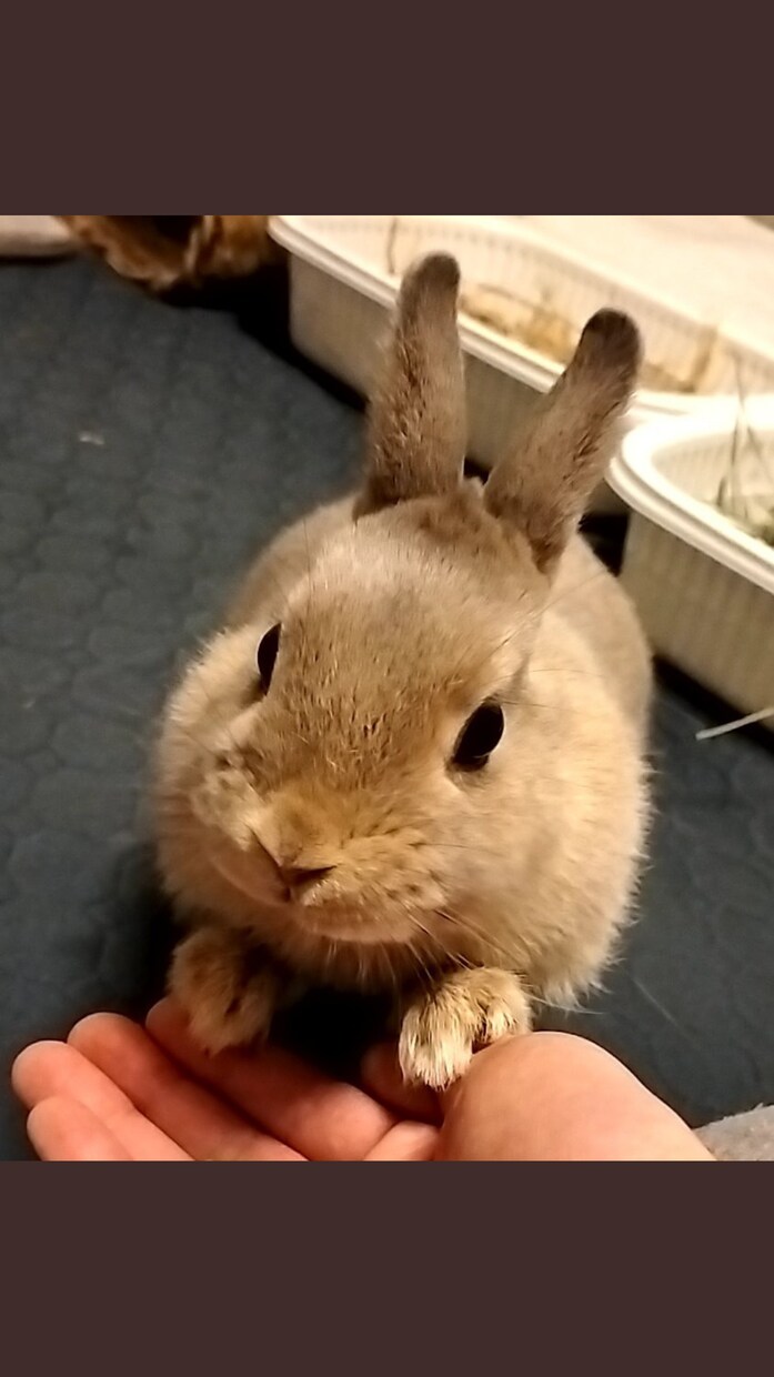 1ヶ月間に暇つぶしの話相手になります あなたの暇をつぶさせてください。 イメージ1