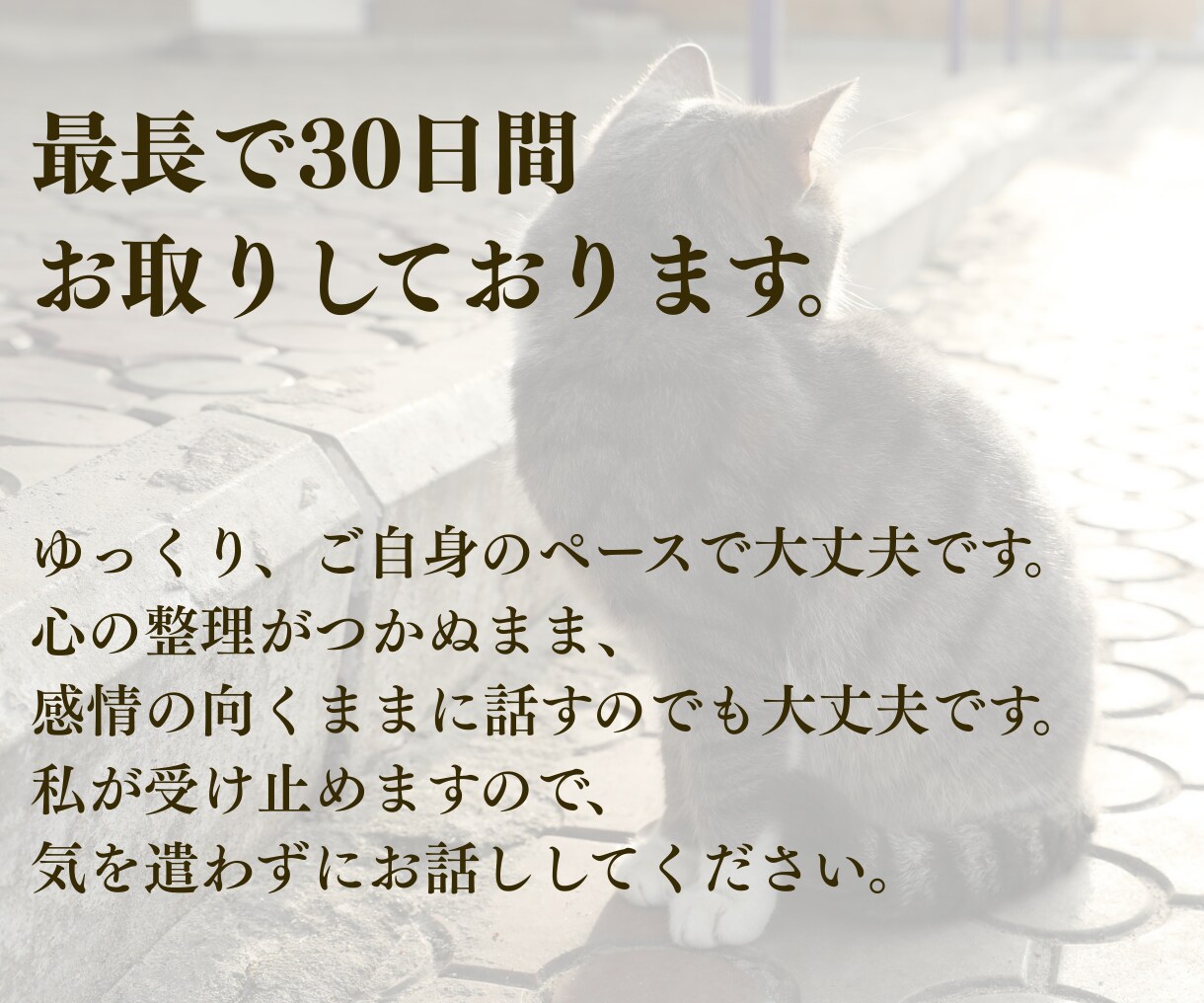 ペットロス専門☆愛するペットのお話、すべて聴きます ペットロス経験者・現役カウンセラーの私が、すべて受け入れます イメージ7